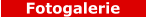 Fotogalerie